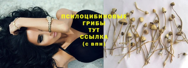 МДМА Вяземский