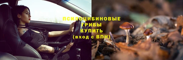 крисы Вязники