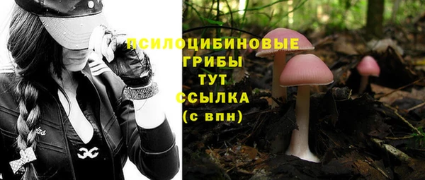 крисы Вязники
