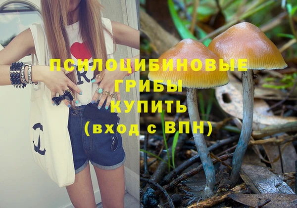ECSTASY Горнозаводск