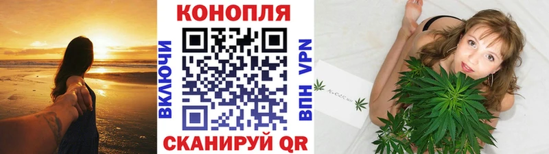 Канабис ГИДРОПОН Жирновск